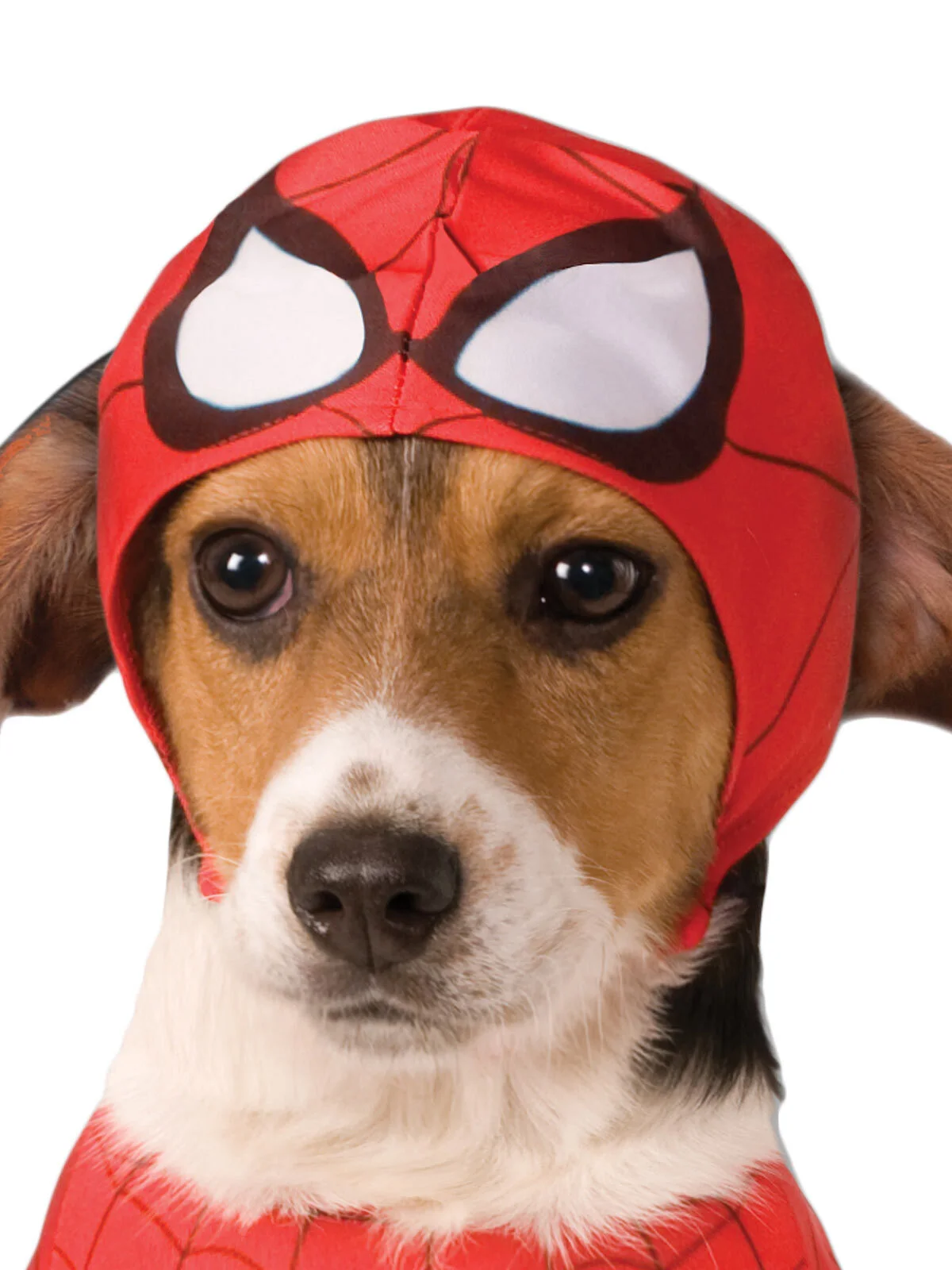 Rubies SpiderMan Dog Costume 2 Rubies SpiderMan Dog Costume - Image 2