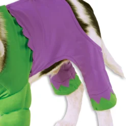 Rubies Hulk Pet Costume -Party Decoration Shop 580069 P 2