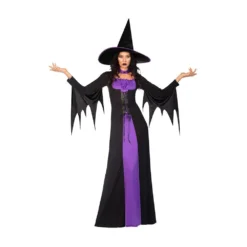 AMSCAN Costume Classic Witch Women's Size 20-22