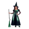 AMSCAN Costume Spider Witch Girls 3-4 Years