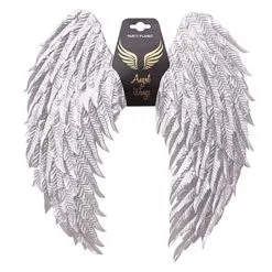 Oceana Metallic Silver Angel Wings 60x45cm