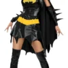 Rubies Batgirl Secret Wishes Medium