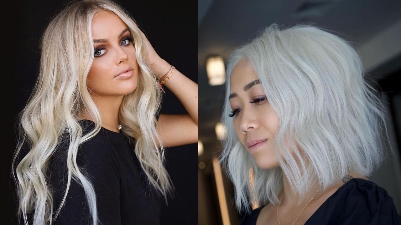 Party Decoration Shop 38 Party Decoration Shop -Party Decoration Shop win